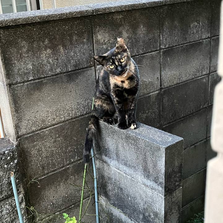 A60e513b 06ea 4bc3 bd8e f99d04ede09d 1756975180458