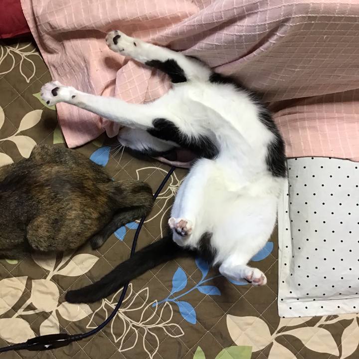 A60e5a8b 4f3d 40fa 82a5 659b97de28cd 1650615400264