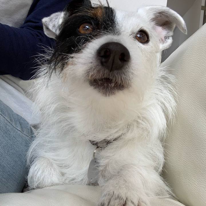 A60e69e9 6e99 409f 8ec8 4ee19a035f11 1587100295705