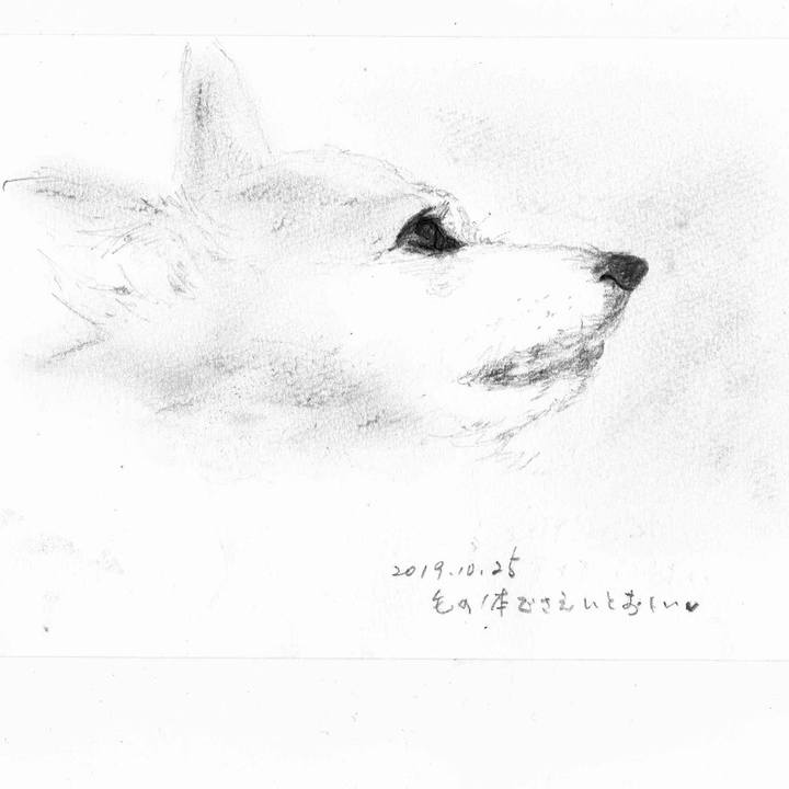 A60e6ee3 8d70 456a b1ec 85aa045107df 1571993567561