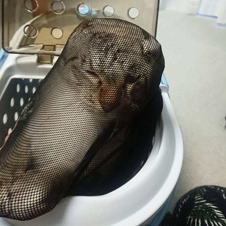 A60e8aa8 c7d6 4516 9e3a 8f47de5913bf 1567847691230