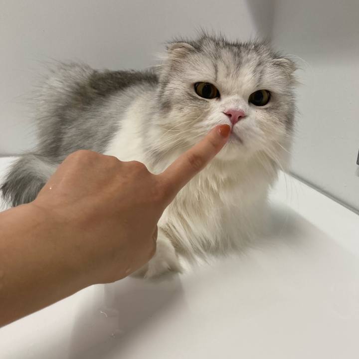 A60e8ea1 edd3 4a61 b5dd 9af14050caa1 1699245344340