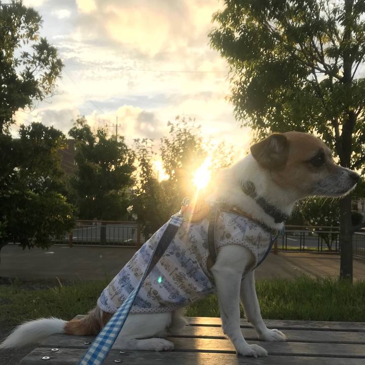 A60eae09 0752 4307 8d06 0aa7d264fdcc 1536360929971