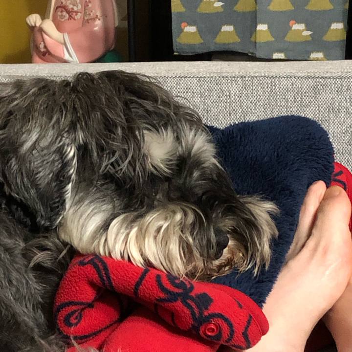 A60f02ce 1882 4314 9807 0ff0d888fed7 1592744380942