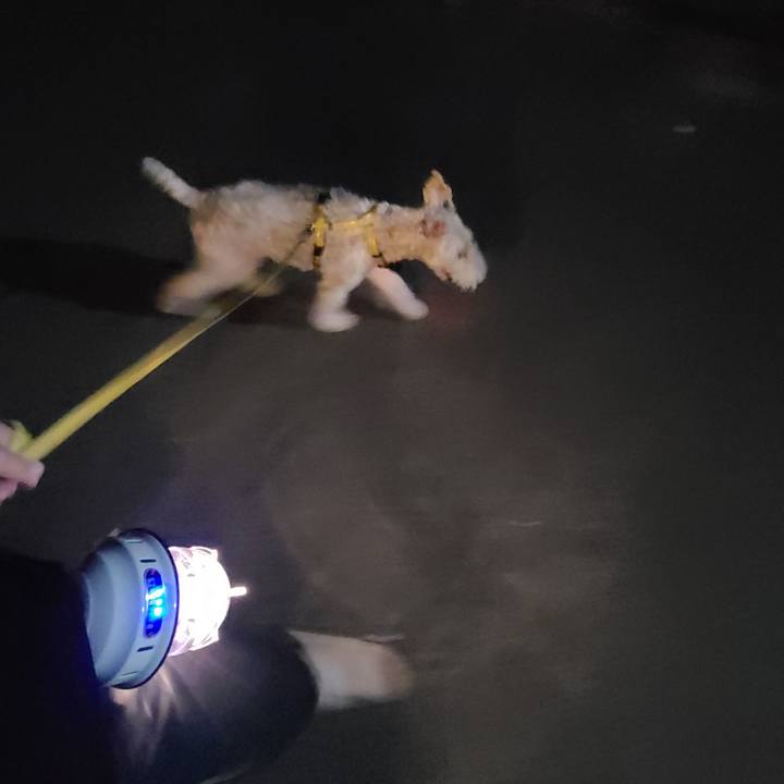 A60f3140 022a 46bd 9431 ae9c10bcf48f 1664541926740