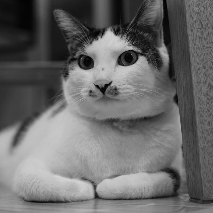 A60f6add f0c6 47f3 8321 bd568c5c57de 1533685830602