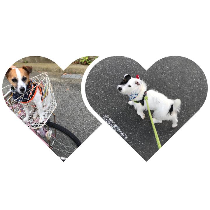 A60fa4fe e3ba 4d0d 925a 8b14ecd124ae 1533511617382