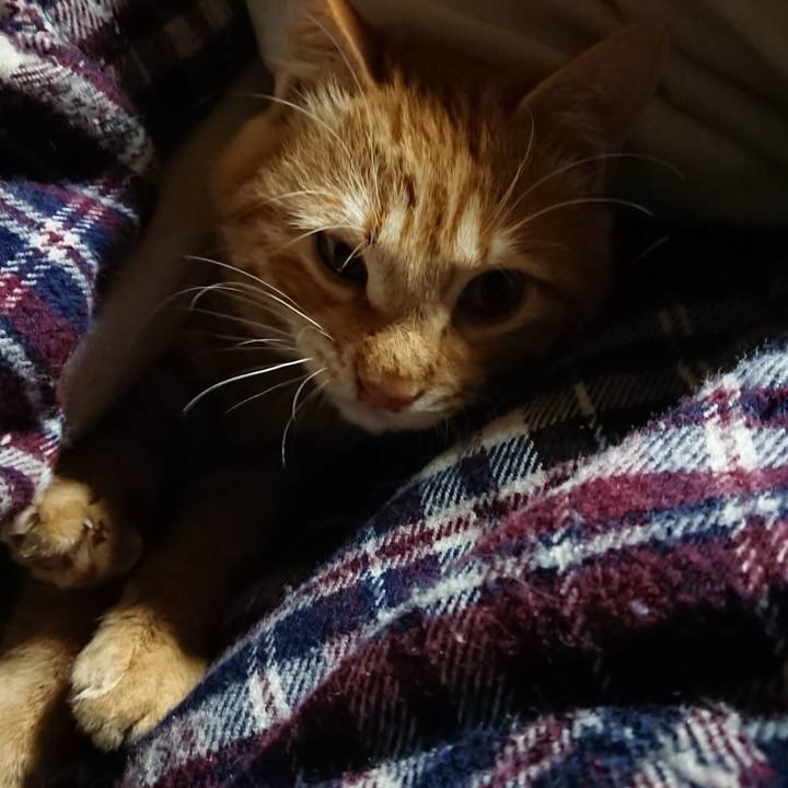 A60ff710 5cc3 4b17 97a5 cfc068878a85 1642367846932