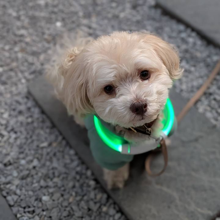 A60ffb75 bfdd 49f1 81b8 dc534baefa4e 1769518648726