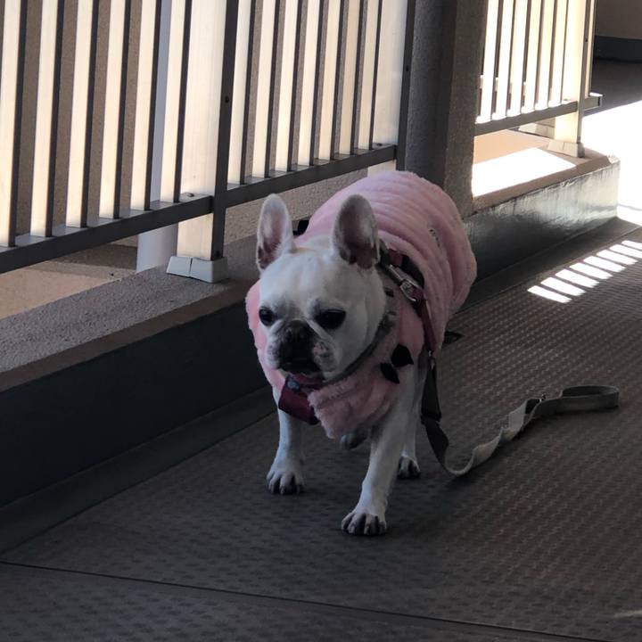 A6100d95 0287 4c19 9e43 73964c95c59d 1580530191382