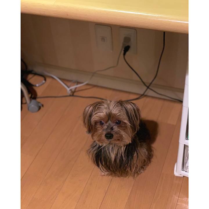 A6106f9a ba86 4751 af74 e5371ffcdfc9 1543973569768