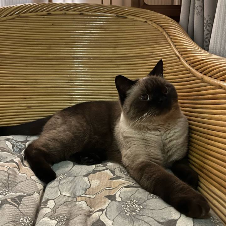 A610793c 21ed 4051 9838 b037c8cb6567 1633610103552