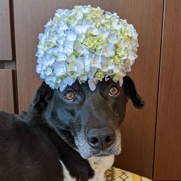 A610f176 8eec 4862 b7c6 9a7bd92cc5ca 1685621955848