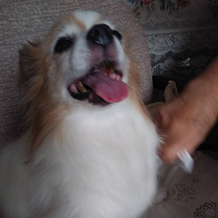 A610f35f c398 44f5 a8e6 13d60fcfc143 1534774470264