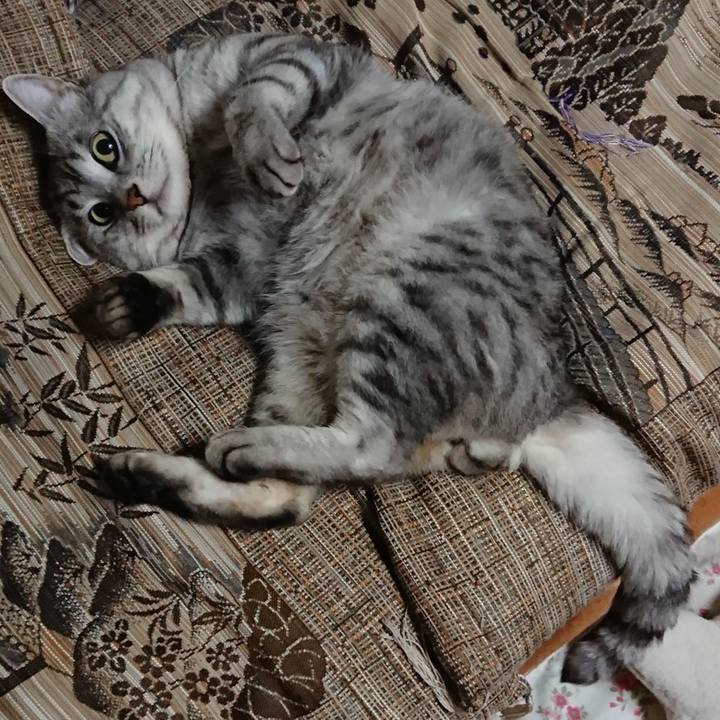 A61103e2 6d30 4fc0 86a1 71d7694ac4fd 1574086803746