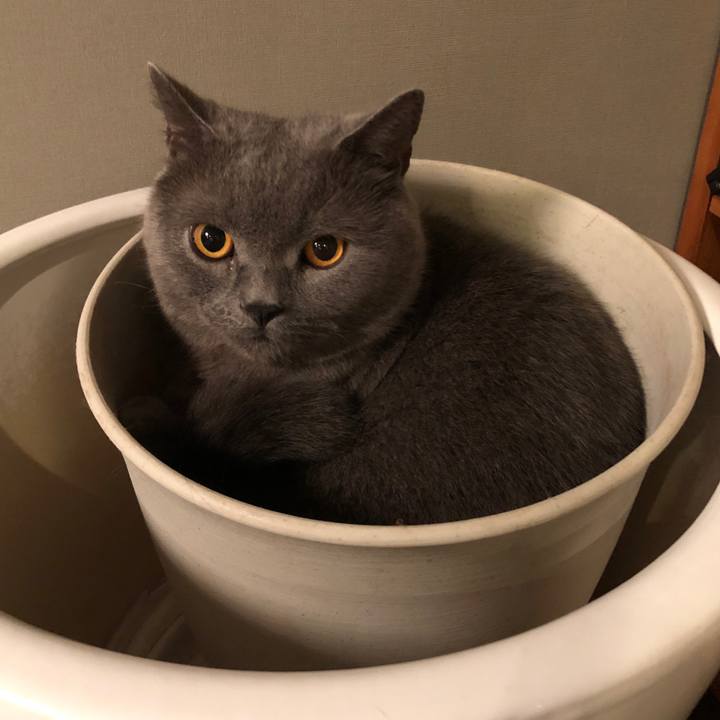 A6110546 4c94 4991 8487 f07dd888b782 1535939185400