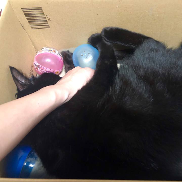 A6110c64 0ce1 4d63 b251 e4e1de9ef650 1567907312078