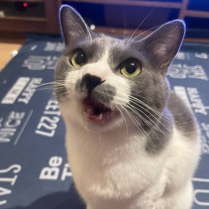 A6111902 b92e 465b bdd2 8f2971266019 1694338381421