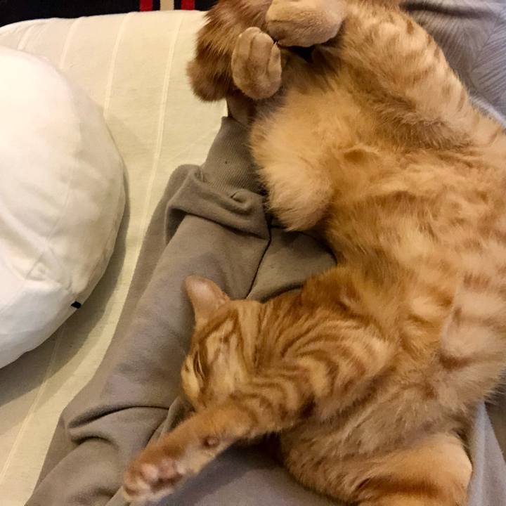 A611333a fb4d 4931 b5e8 52b32434f54d 1732139412754