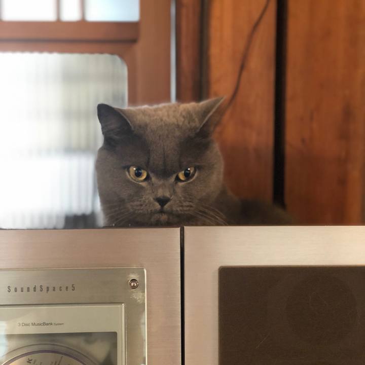 A6114db6 3879 4017 b2d3 8d39285d1ede 1578018078586