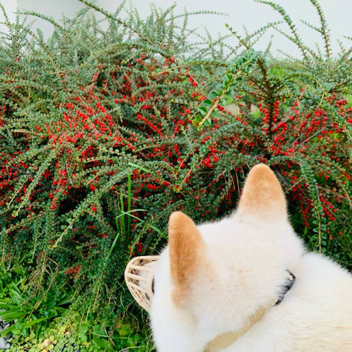 A61152e5 ba01 4fb1 8ba5 6ead015fdd63 1603319926044