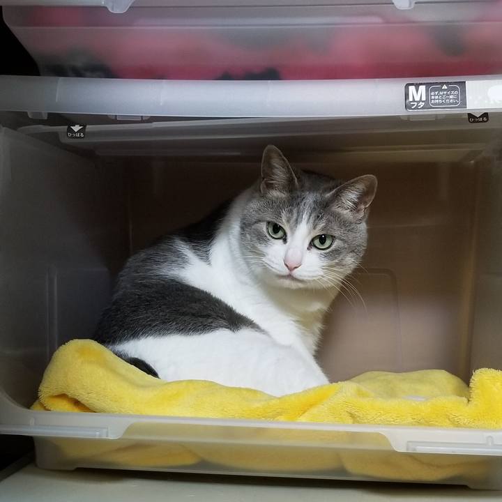 A6116258 ff8e 4192 ae9d 442c9358db3f 1685189653109