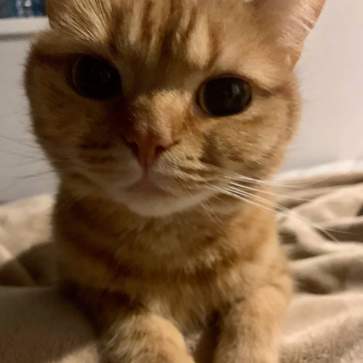 A6116db5 da3e 4096 bf60 06ba36c7ec92 1651229908251