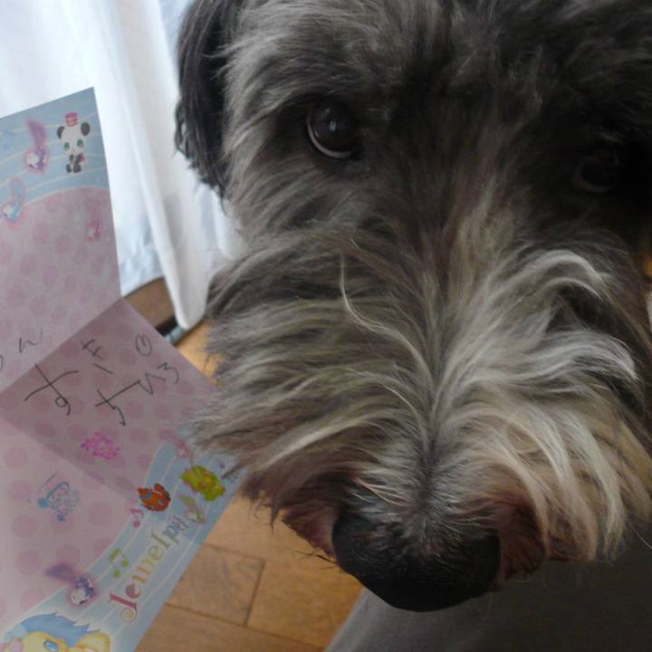 A611cc03 b768 45b4 b359 59eae672ab26 1558396523139