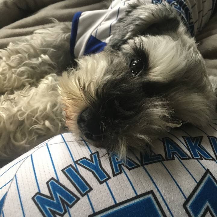 A611ce56 03b5 4876 805a 1794baa4fea1 1600494990978