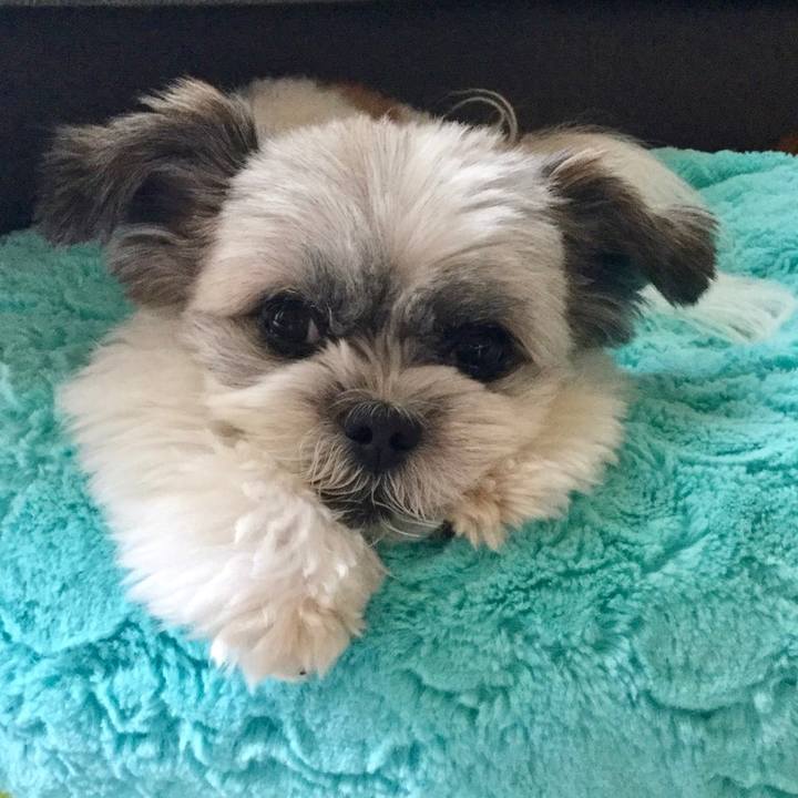 A611d479 82a8 4024 b34b ab937c68eafa 1562382108289