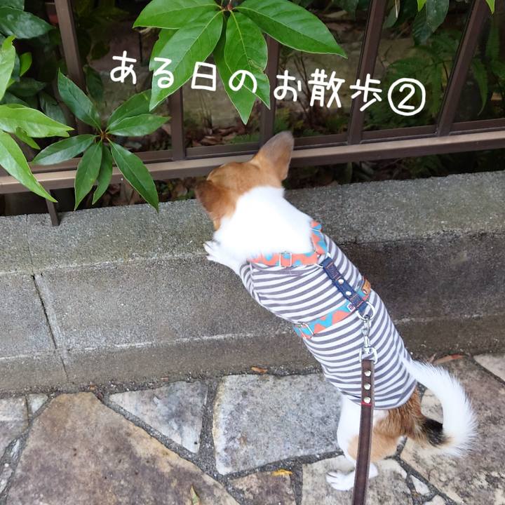 A6120b3f 24e4 4bfc 93f1 1e241e2ff21c 1671665775735