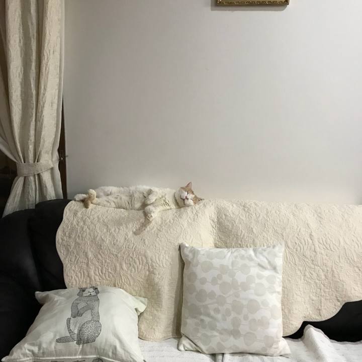 A6120bec 6a61 42b8 a4a1 059f186989b1 1525954514510