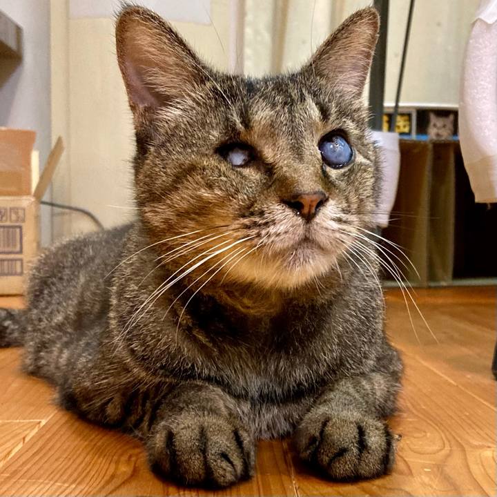 A6121b9c 7019 4579 b7d1 c8cdcf3233ce 1663117784471