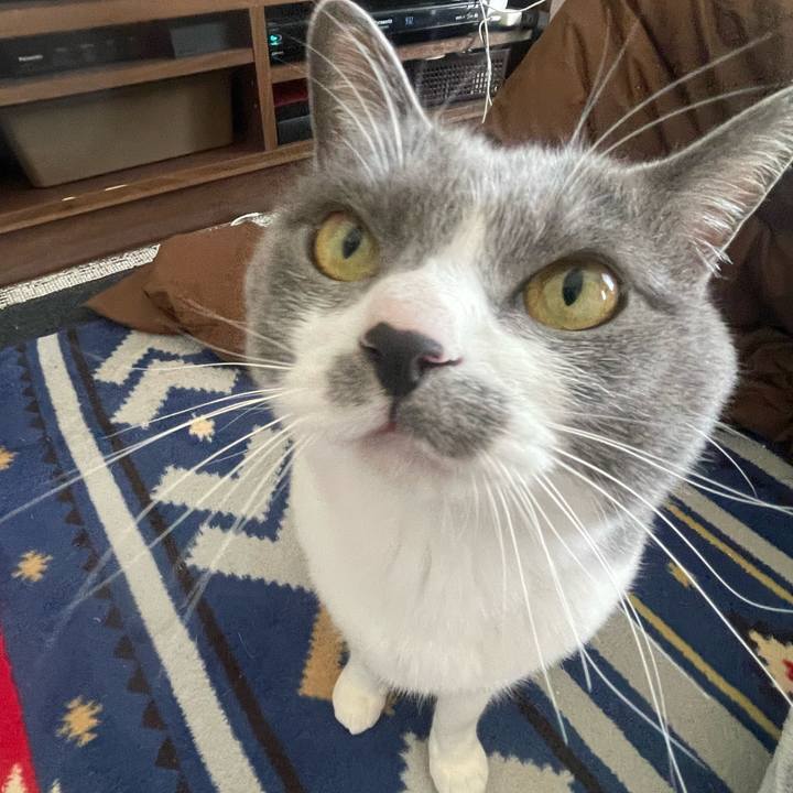 A6124b32 2938 4f2e 931d f0f6622ae36b 1678235589340