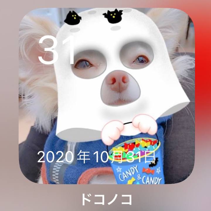 A6125ed9 c600 49ca 9e1a 62ae804acd80 1698750732944