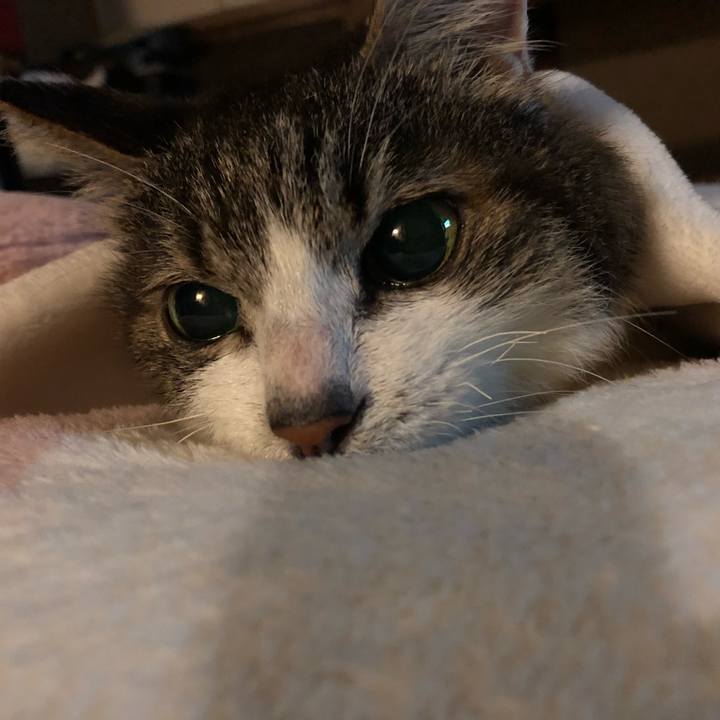 A612a84b ca80 4b36 baa0 21c5165deade 1539355965384