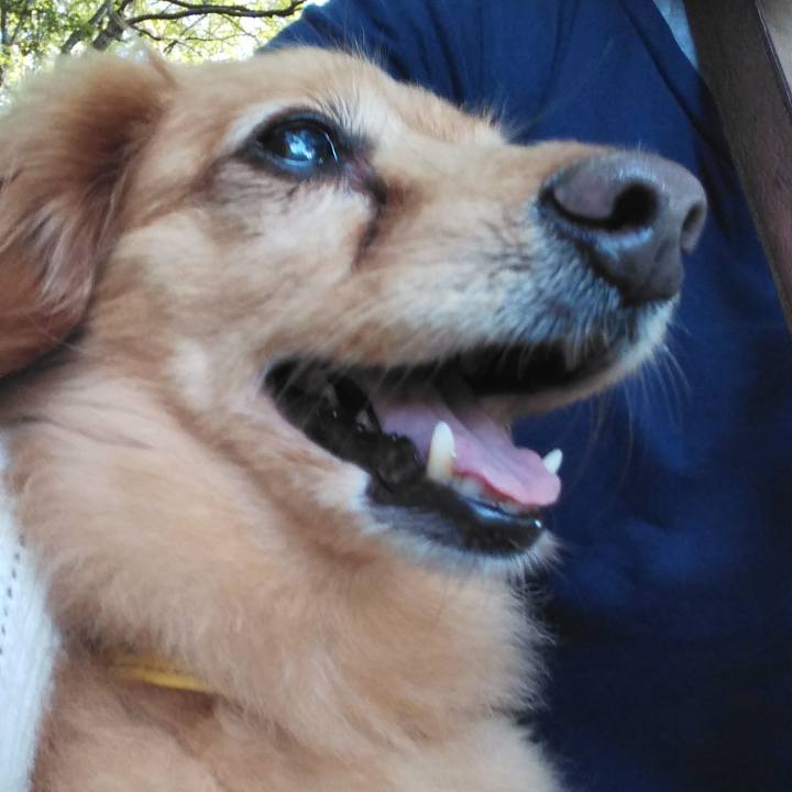 A612b4ce 55d1 4260 a394 08874d6e4a79 1629942147495