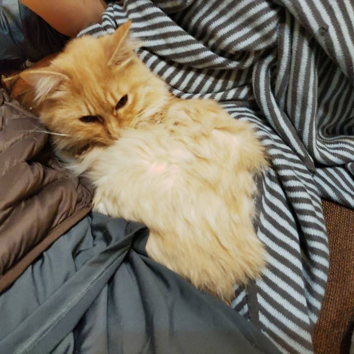 A612fe51 338f 4845 895c 2ef0c6fcc041 1673061488596