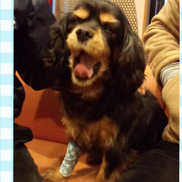 A6131538 1cee 439d 9824 73bfe22def89 1525084939749