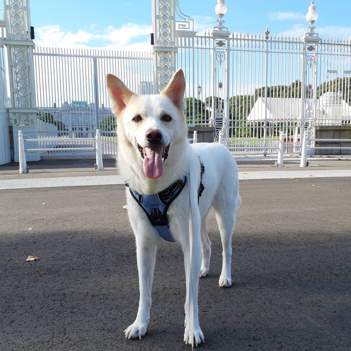 A6131cf3 5819 4d8e bb90 ec97635f18c9 1664595465395