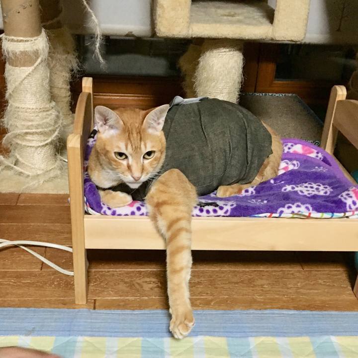 A6131d8f 2b3f 447a 9b64 1fc1e583244b 1530449446835