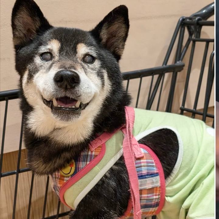 A6134fbd 6f51 4a99 8009 14abb7cbc76b 1730672205805