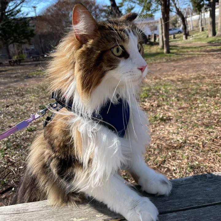 A6136763 a52b 4a3e 82cb de390ae1c1b7 1680334436841