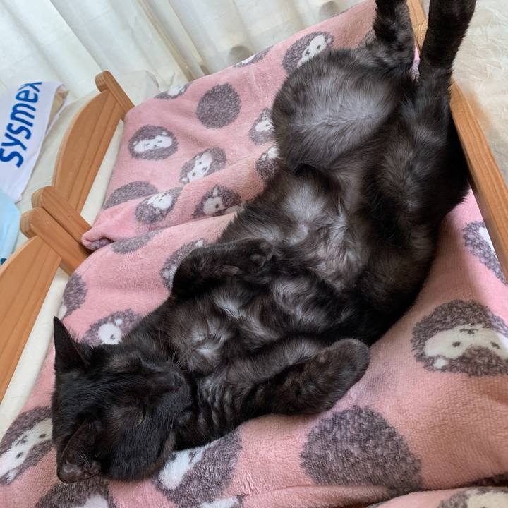 A61390fd 425f 4464 bcdf d2773a2fadc9 1559438753306