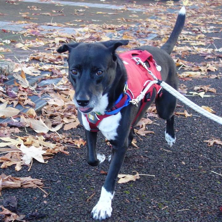 A613ae5f f69d 449f 864b 74f42f1d5e93 1669080733439