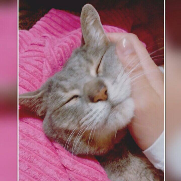 A613b25f 14c1 4c04 addc c22aa54daad6 1560175945139