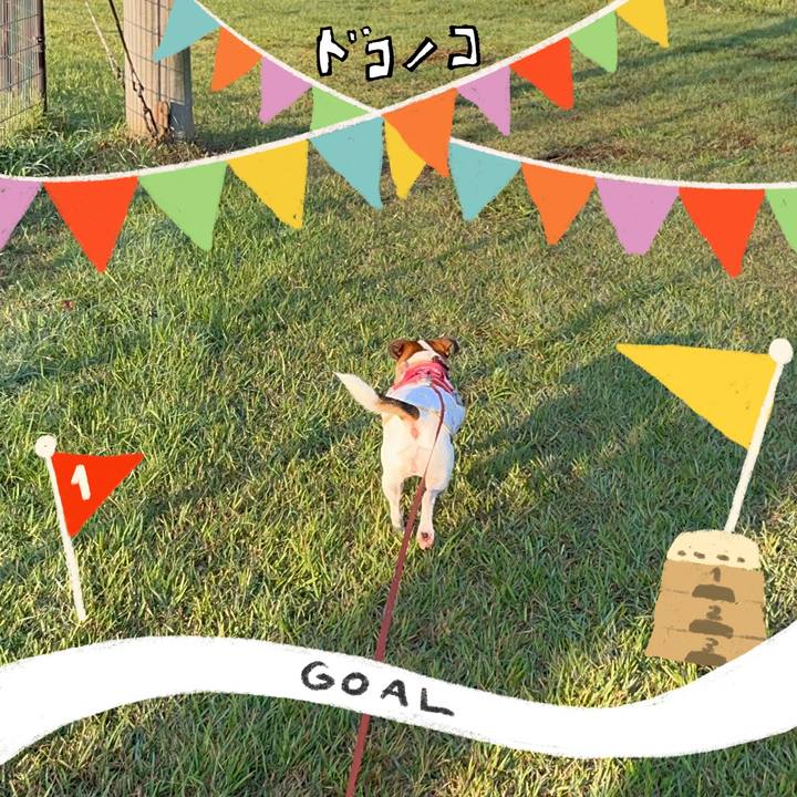 A613ce13 e96e 4db8 b19b bac9c8d064ec 1729078863498