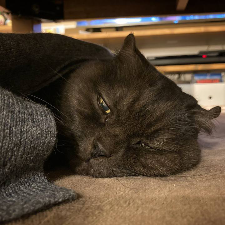 A613ce2f 9ecd 4fb2 b955 fc1f86f2c84d 1640011142470