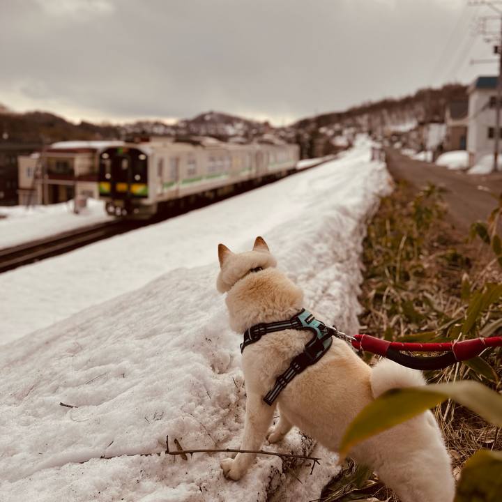 A613ceda 4ff8 49b9 87f4 58a3bc5e02ea 1743288014300