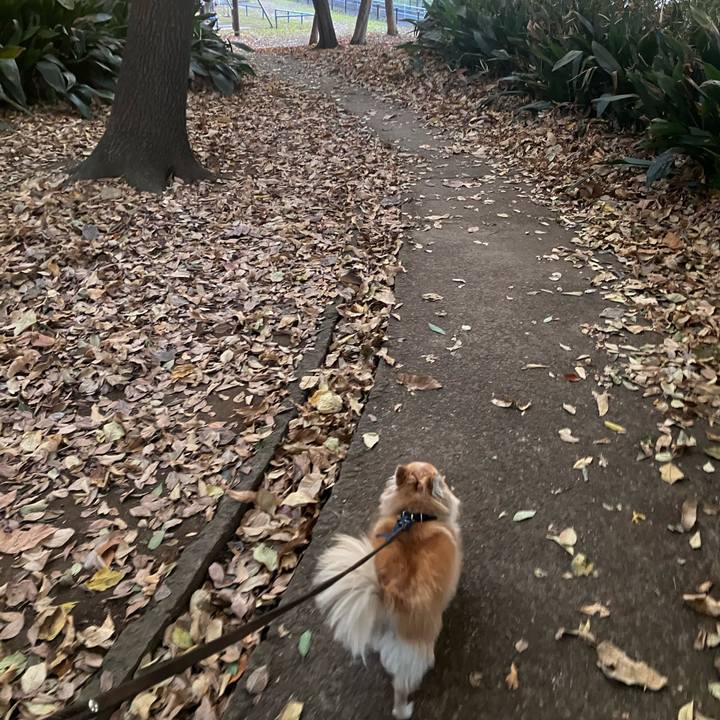 A613e6c3 dacd 4398 b01f bb7831cbb8a7 1764688598411